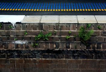 ���Ƚ��߿Ƽ��Ĳ���Ƶ�����Ѹ���һ���м�����ؤ����ȫ����(ͼ)...